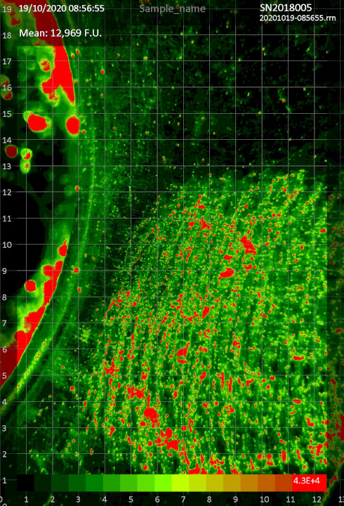 Obrazový výstup z detektoru Recognoil 2W, takzvaná fluorescenční mapa rozložení nečistot na měřené ploše